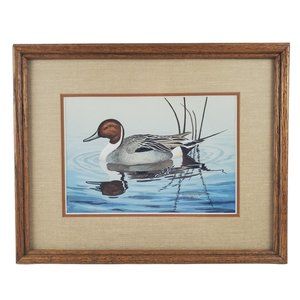 1984 Duck Watercolor: Pintail Drake by Dave Bartholet (Signed)